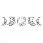 Holdfázisok falmatrica