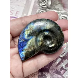 Labradorit csiga