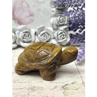 Szerencsehozó tigrisszem teknős