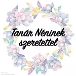 ANGYALI ÉRINTÉS pedagógus köszönet karkötő hegyikristállyal, fehér teklagyönggyel